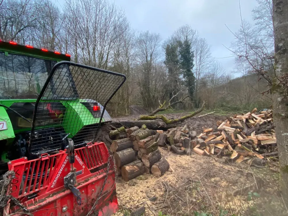découpe de bois